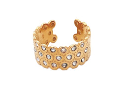 STEEL RING STR032